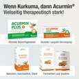 Acurmin Ferment – Fermentiertes Bio-Kurkuma-Pulver – 1 g Kurkuma-Pulver, A-Nr.: 5895651 - 02