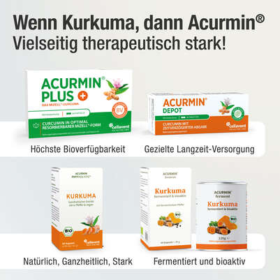 Sie sehen eine Packung Bio Kurkuma Kapseln – 40-fache Bioverfügbarkeit ohne Pfeffer – 100% natürliches Vollspektrum Kurkuma, Produktbild: 04 Bio Kurkuma Kapseln – 40-fache Bioverfügbarkeit ohne Pfeffer – 100% natürliches Vollspektrum Kurkuma, A-Nr.: 5614178 - 04