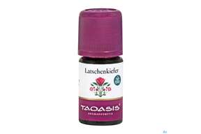 Aetherische Oele Taoasis Bio Latschenkiefer 5ml, A-Nr.: 4372603 - 01