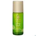 Sie sehen eine Packung Primavera Lebensfreude Frischedeo 50ml, Produktbild: 02 Primavera Lebensfreude Frischedeo 50ml, A-Nr.: 5732653 - 02