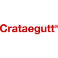 Sie sehen eine Packung Crataegutt® 450mg - Filmtabletten, Produktbild: 05 Crataegutt® 450mg - Filmtabletten, A-Nr.: 4215660 - 05