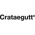 Sie sehen eine Packung Crataegutt® 450mg - Filmtabletten, Produktbild: 06 Crataegutt® 450mg - Filmtabletten, A-Nr.: 4215660 - 06