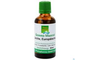 Gemmo Mazerat Laerche Europaeische Larix Decidua Phytopharma 50ml, A-Nr.: 5289790 - 01