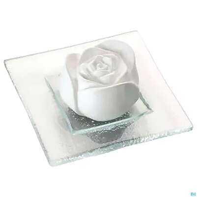 Primavera Duftstein Rosenbluete Auf Glasteller Transparent 1st, A-Nr.: 3840120 - 02