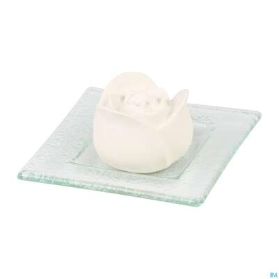 Primavera Duftstein Rosenbluete Auf Glasteller Transparent 1st, A-Nr.: 3840120 - 03