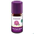 Sie sehen eine Packung Taoasis Cistrosenöl Bio 5ml, Produktbild: 02 Taoasis Cistrosenöl Bio 5ml, A-Nr.: 3162619 - 02