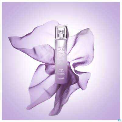 Sie sehen eine Packung Caudalie Eau De Parfum Ange Des Vignes 50ml, Produktbild: 08 Caudalie Eau De Parfum Ange Des Vignes 50ml, A-Nr.: 5727617 - 08