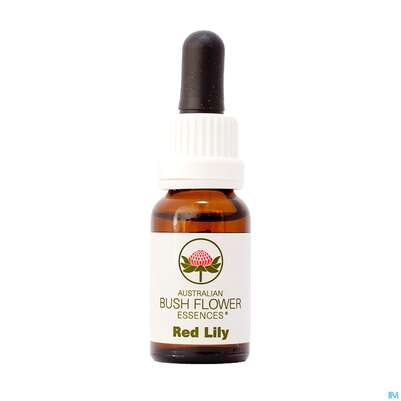 Sie sehen eine Packung Aub Red Lily, Produktbild: 01 Aub Red Lily, A-Nr.: 2627281 - 01