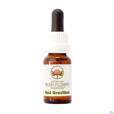 Aub Red Grevillea, A-Nr.: 2627269 - 01