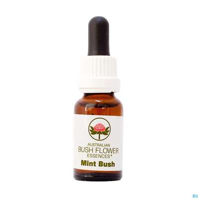 Sie sehen eine Packung Aub Mint Bush, Produktbild: 01 Aub Mint Bush, A-Nr.: 2627163 - 01