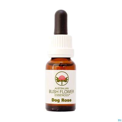 Sie sehen eine Packung Aub Dog Rose, Produktbild: 01 Aub Dog Rose, A-Nr.: 2626985 - 01