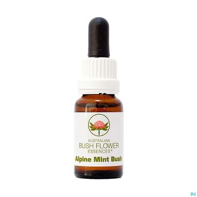 Sie sehen eine Packung Aub Alpine Mint Bush, Produktbild: 01 Aub Alpine Mint Bush, A-Nr.: 2626815 - 01