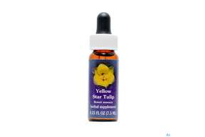 Fes Yellow Star Tulip 7,5ml, A-Nr.: 2155273 - 01