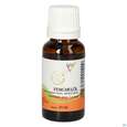 Gall Pharma Fenchelöl Embamed, A-Nr.: 5341579 - 02