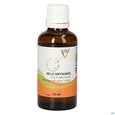 Gall Pharma Helichrysumöl Embamed, A-Nr.: 5420209 - 01