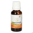 Gall Pharma Tannenzapfenöl Embamed, A-Nr.: 5420497 - 01