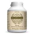 Sie sehen eine Packung Olivenblattextrakt MONO 500mg Kapseln 180 Stk., Produktbild: 01 Olivenblattextrakt MONO 500mg Kapseln 180 Stk., A-Nr.: 4593244 - 01