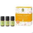 Primavera Set Duftendes Zitrusglueck 1st, A-Nr.: 5199383 - 05