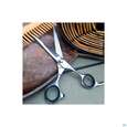 Scheren Canal Japanischer Edelstahl Premium Haar 16,5cm 1066- 1st, A-Nr.: 5710953 - 02