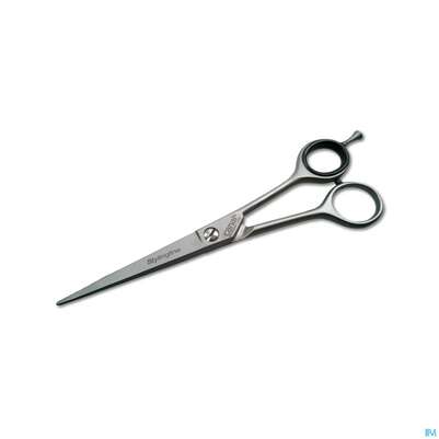 Scheren Canal Rostfrei Haarschere 17cm 1021- 1st, A-Nr.: 4881575 - 01
