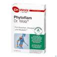 Dr.wolz Phytoflam Kapseln 60655 60st, A-Nr.: 5862574 - 01