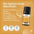 Duftmischung Glücksbringer, A-Nr.: 5955548 - 04