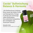 Duftmischung Frühlingsbrise, A-Nr.: 5955531 - 06
