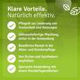 Mund-Gesund Aromapflege Öl, A-Nr.: 5758144 - 05