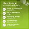 Sie sehen eine Packung Rosmarinöl Haare & Kopfhaut, Produktbild: 04 Rosmarinöl Haare & Kopfhaut, A-Nr.: 5724872 - 04