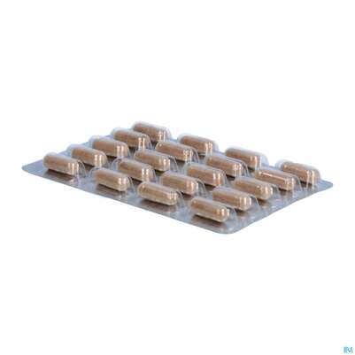 Sie sehen eine Packung Dr.wolz Thromboflow Kapseln 60653 20st, Produktbild: 08 Dr.wolz Thromboflow Kapseln 60653 20st, A-Nr.: 4164810 - 08