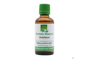 Gemmo Mazerat Heidelbeere Vaccinium Myrtillus Phytopharma 50ml, A-Nr.: 4493117 - 01