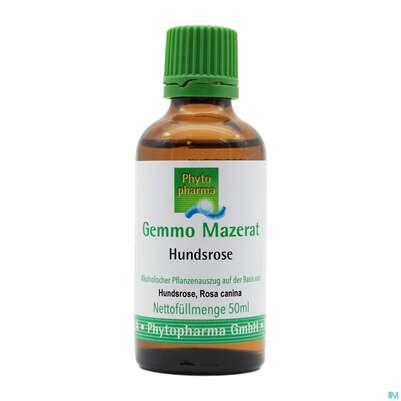Gemmo Mazerat Hundsrose Rosa Canina Phytopharma 50ml, A-Nr.: 3107106 - 01