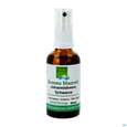 Sie sehen eine Packung Gemmo Mazerat Johannisbeer/schwarz Ribes Nigrum/sprueh Phytopharma 50ml, Produktbild: 02 Gemmo Mazerat Johannisbeer/schwarz Ribes Nigrum/sprueh Phytopharma 50ml, A-Nr.: 3107388 - 02