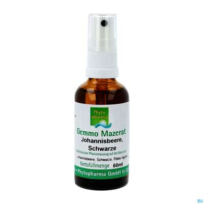Sie sehen eine Packung Gemmo Mazerat Johannisbeer/schwarz Ribes Nigrum/sprueh Phytopharma 50ml, Produktbild: 02 Gemmo Mazerat Johannisbeer/schwarz Ribes Nigrum/sprueh Phytopharma 50ml, A-Nr.: 3107388 - 02