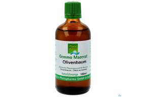 Gemmo Mazerat Olivenbaum Olea Europaea Phytopharma 100ml, A-Nr.: 5394357 - 01