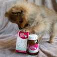 Sie sehen eine Packung OMNi-BiOTiC® Cat & Dog, 60g, Produktbild: 03 OMNi-BiOTiC® Cat & Dog, 60g, A-Nr.: 5200301 - 03