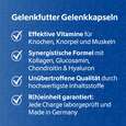 R(h)ein Nutrition Gelenkfutter Komplex Gelenkkapseln, A-Nr.: 5987169 - 03