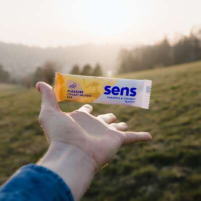 SENS Pleasure Proteinriegel mit Grillenmehl - Ananas &amp; Kokosnuss, A-Nr.: 5948614 - 02