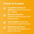 R(h)ein Nutrition Vitamin-B-Komplex Kapseln hochdosiert, A-Nr.: 5987235 - 03
