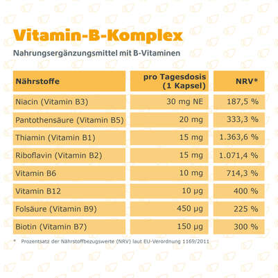 R(h)ein Nutrition Vitamin-B-Komplex Kapseln hochdosiert, A-Nr.: 5987235 - 08