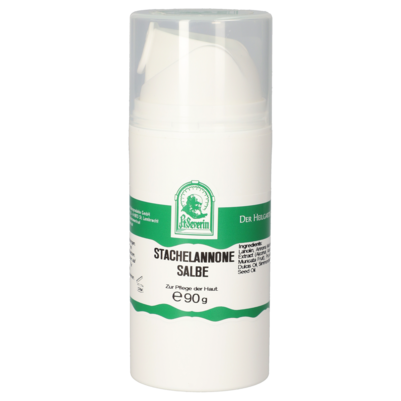 Sie sehen eine Packung STACHELANNONE SALBE 90 G, Produktbild: 01 STACHELANNONE SALBE 90 G, A-Nr.: 5718736 - 01