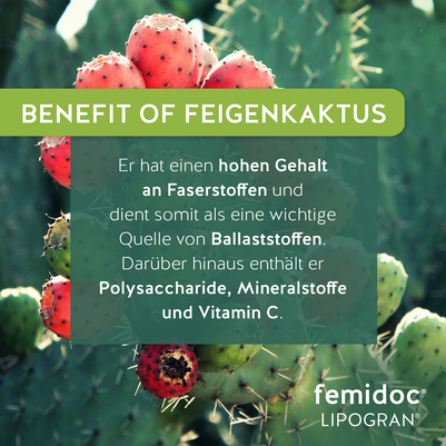 femidoc® LIPOGRAN® FORTE, A-Nr.: 5859201 - 05