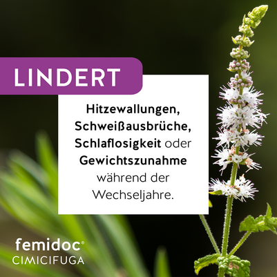 femidoc CIMICIFUGA 13 mg Filmtabletten, A-Nr.: 5533787 - 02