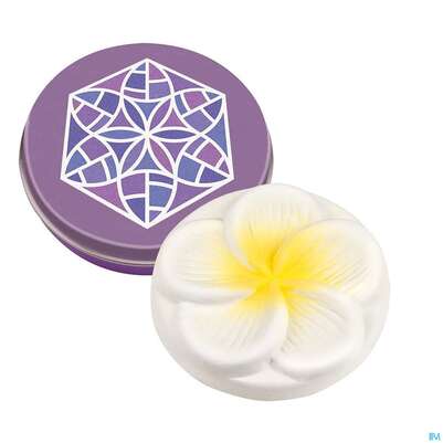 Taoasis Minidose Bluete Mit Duftstein Frangipani (ve 10) 1st, A-Nr.: 4558911 - 01