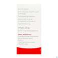 Robinia Comp Wala Globuli Velati 20g, A-Nr.: 4482929 - 06