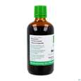 Meisterwurz Tinktur Imperatoria Ostruthium Phytopharma 100ml, A-Nr.: 5393292 - 02