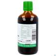 Meisterwurz Tinktur Imperatoria Ostruthium Phytopharma 100ml, A-Nr.: 5393292 - 03