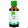 Efeu Tinktur Hedra Helix Phytopharma 50ml, A-Nr.: 5893853 - 01