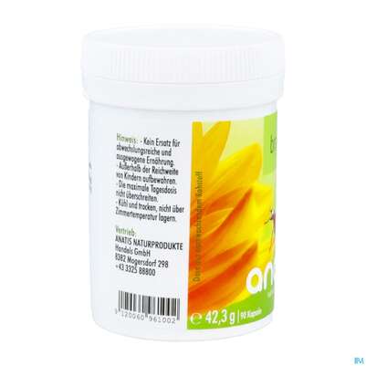 Sie sehen eine Packung Brahmi Kapseln Anatis 90st, Produktbild: 02 Brahmi Kapseln Anatis 90st, A-Nr.: 5071677 - 02