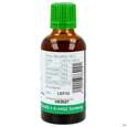 Bittergurke Tinktur Phytopharma 50ml, A-Nr.: 3451275 - 03